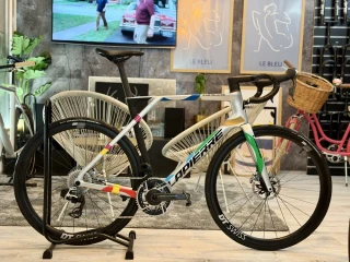 LAPIERRE Xelius DRS SO Rainbow Chrome XL Custom